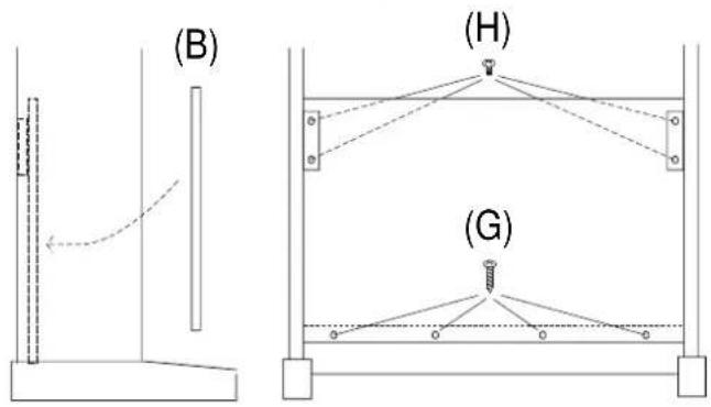 (B) (H) (G)