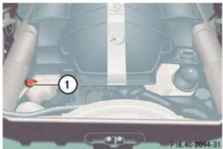 Mercedes-Benz CL-Class (2003) - Checking the engine oil level with the oil dipstick (CL 500, CL 55 AMG only) - 1