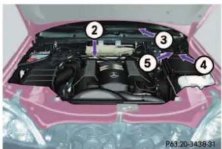 Mercedes-Benz ML-Class (2003) - Identification labels Identification labels - 2