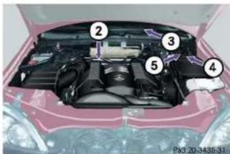 Mercedes-Benz M-Class (2004) - ▼Identification labels - 2