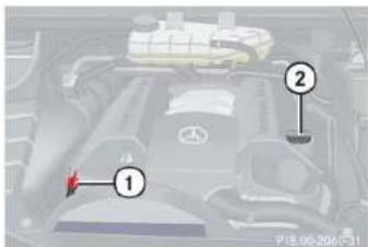 Mercedes-Benz M-Class (2004) - Adding engine oil - 1