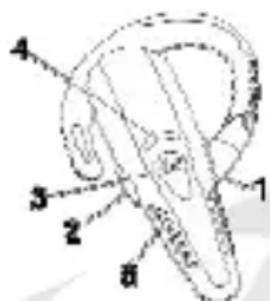 Pentagram P 3211 - Optik - 1