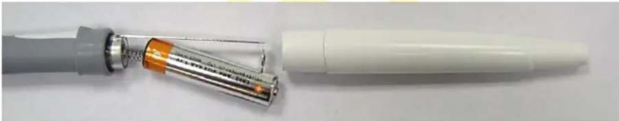 Pentagram Titan P 2003 - Batteriewechsel - 2