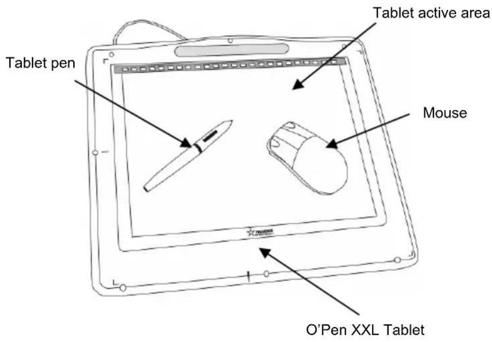 Pentagram O-pen XXL P 2001 - Introduction - 2