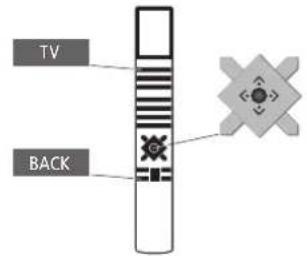 TV BACK