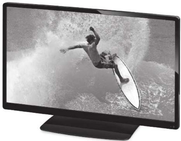 Terris LED TV 2953 - 1