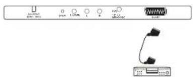 Terris LED TV 2953 - SCART-Anschluss - 1