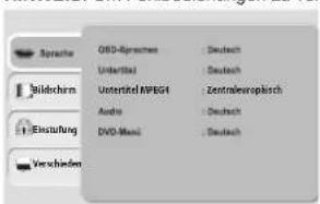 Terris LCDTV 2213 - DVD SETUP-MENÜ - 1
