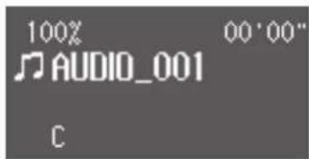 ROLAND AT-350C - Benennen der Audiodatei - 2