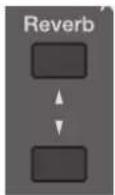 ROLAND AT-350C - Der Reverb-Effekt - 1