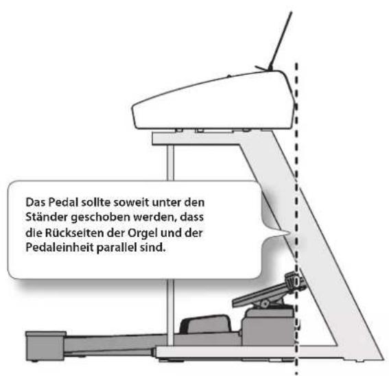 ROLAND AT-350C - Installieren der Pedaleinheit - 2