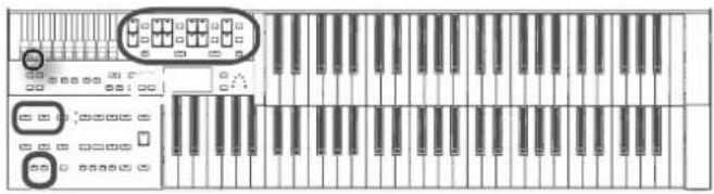 ROLAND AT-350C - Stellen Sie die Orgel wie oben gezeigt auf den Ständer. - 1