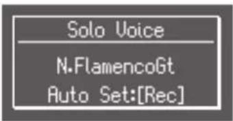 ROLAND AT-350C - Drücken Sie einen der Solo Part Voice-Taster. - 1
