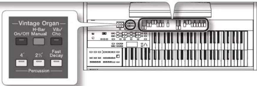 ROLAND AT-350C - Erstellen eigener Orgelklänge (Vintage Organ) - 2