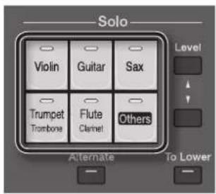 ROLAND AT-350C - Die Funktionen der Voice-Taster - 2
