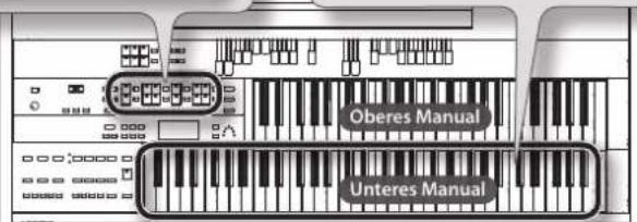 ROLAND AT-350C - Spielen von Pianoklängen auf dem unteren Manual - 3