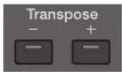ROLAND AT-350C - Transponieren in eine andere Tonart (Key Transpose) - 1