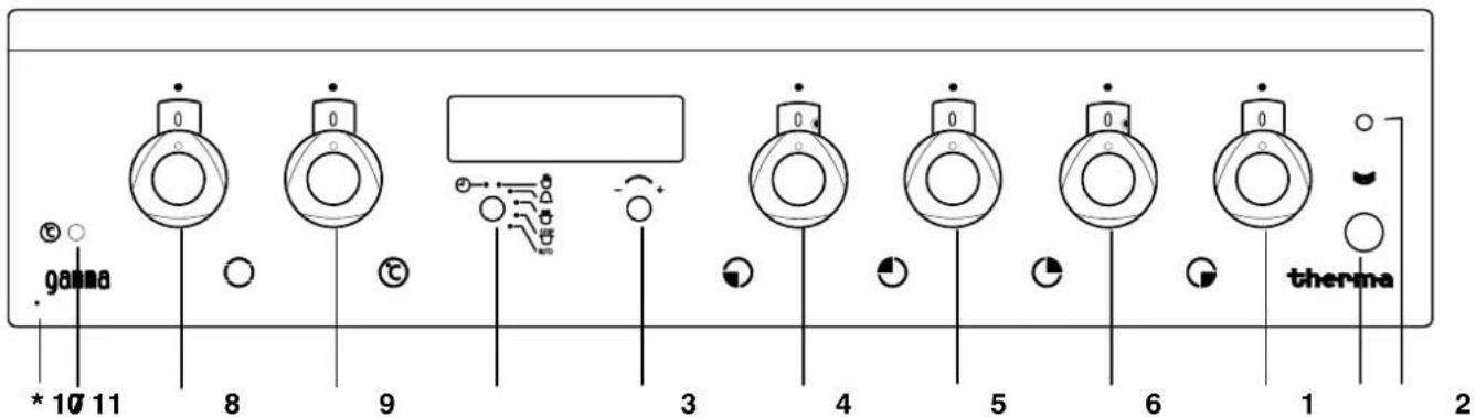 THERMA EH G 4.2 ZS - Bedienblende - 1