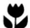 THERMA SGK T 56.2 RC - Entsorgungshinweise - 1