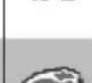 Vectron POS MobileXL - Icons - 82