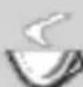 Vectron POS ColorTouch 64bit - Piktogramme - 43