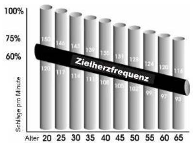 Horizon Fitness SL3.0E - ACHTUNG! - 1