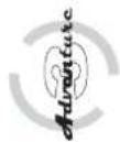 Horizon Fitness Quantum CS III HRC - PROGRAMME - 6
