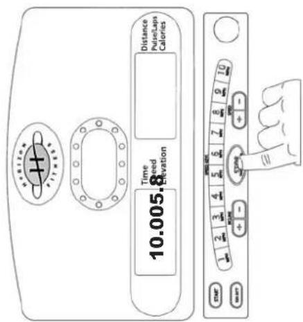 HORIZON FITNESS 10.005.8 Time Speed Elevation Distance Pulse/Laps Calories START 1 2 3 4 5 6 7 8 9 10 MUNT + - + START + -