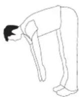 Horizon Fitness Elite T608 - SITTING HAMSTRING & LOWER BACK MUSCLE STRETCH - 1