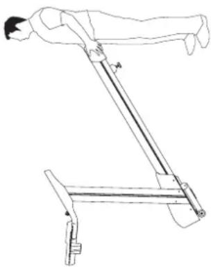 Horizon Fitness Elite T608 - MOVING - 1