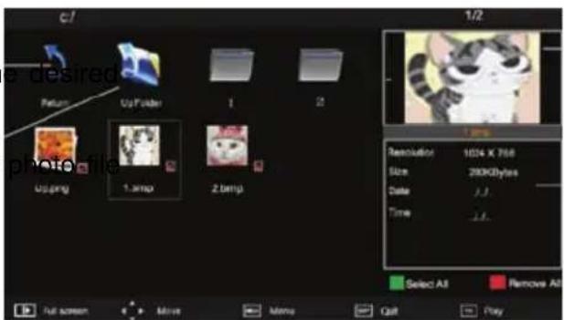 XORO HTC 2442 HD - Playing Photos - 1