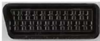 XORO HTC 2442 HD - SCART - 1