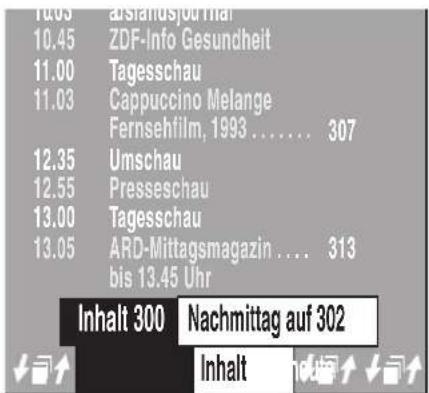 METZ Spectral 55 - Doppelte Schriftgröße - 8