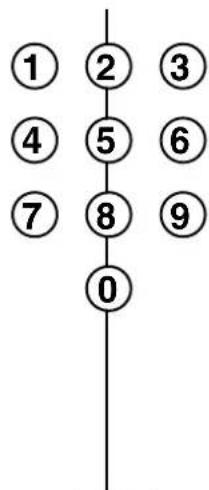 METZ Spectral 55 - Timeraufnahme - 3