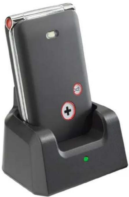 SWISSVOICE MP50 - 2