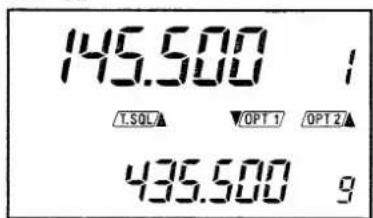 145.500 T.SOLA OPT 1 OPT 2 435.500 g
