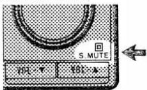S. MUTE 101 181