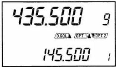 435.500 9 /D.SQL ▲ /OPT 1 ▲ /OPT 2 145.500 ;