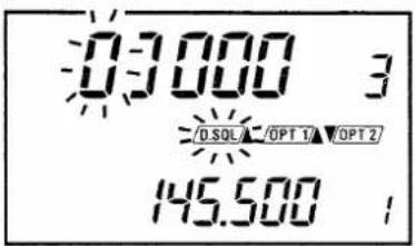 03000 3 /D.SQL/ OPT 1/ OPT 2 145.500