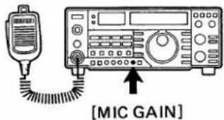 [MIC GAIN]