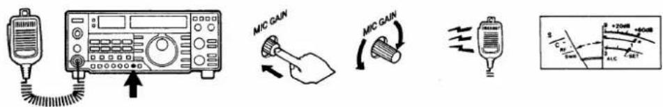 Diagram showing four different types of micro gain devices and a corresponding schematic diagram with labeled components.