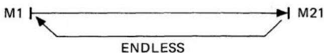 M1 M21 ENDLESS