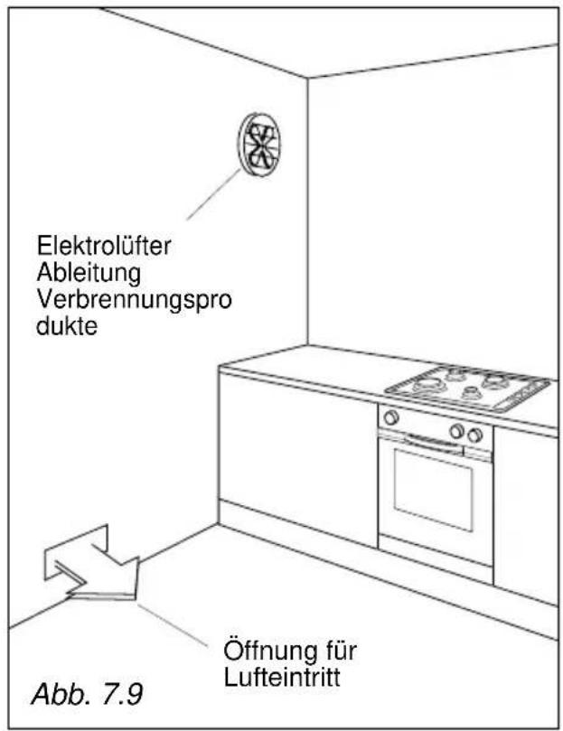 Elektrolüfter Ableitung Verbrennungspro dukte Abb. 7.9 Öffnung für Lufteintritt
