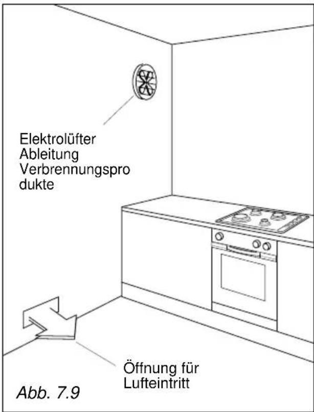 Elektrolüfter Ableitung Verbrennungspro dukte Abb. 7.9 Öffnung für Lufteintritt