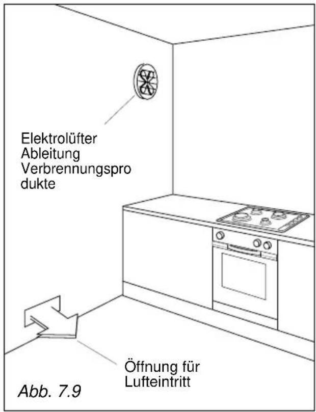 Elektrolüfter Ableitung Verbrennungspro dukte Abb. 7.9 Öffnung für Lufteintritt