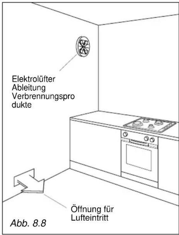 Elektrolüfter Ableitung Verbrennungspro dukte Abb. 8.8 Öffnung für Lufteintritt