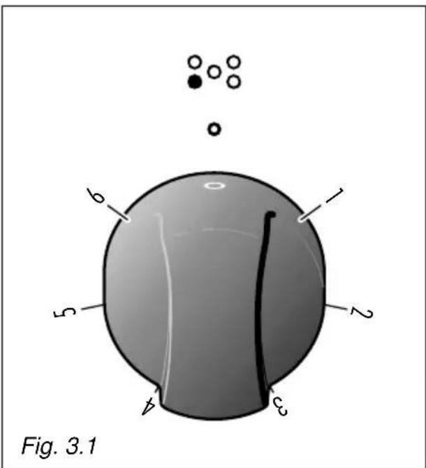 Fig. 3.1