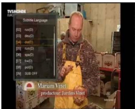 Ferguson Ariva 152Combo - SUBTITLE (Untertitel) - 1