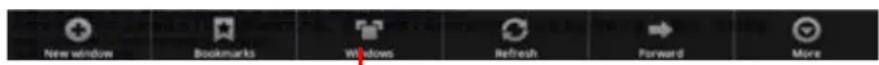 Cresta CTP810 - Surfen im Internet - 3