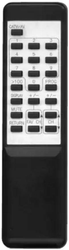 CATV/AV 1 2 3 4 5 6 7 8 9 >100 0 PROG DISPLAY +/- +/- MUTE RETURN FAV CH CH
